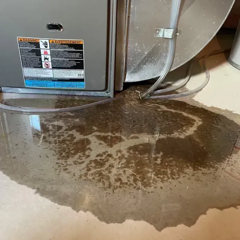 Appliance Leak Cleanup in Crainville, IL